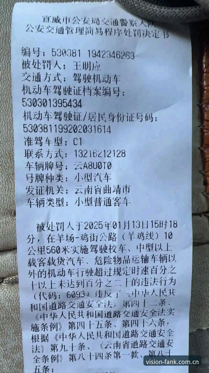 爱游戏官网苹果下载对比 揭秘摩纳哥维修区超速罚单:真凶不是限速器,而是那条白线